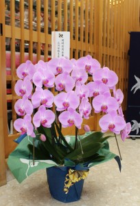 岡崎信用金庫よりお祝いのお花頂きました